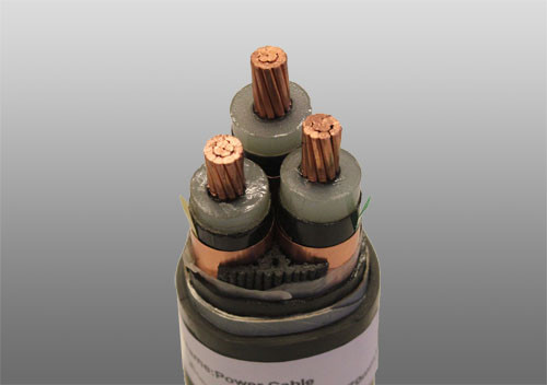 ��������չʾ