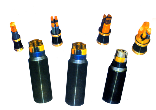 ��������չʾ