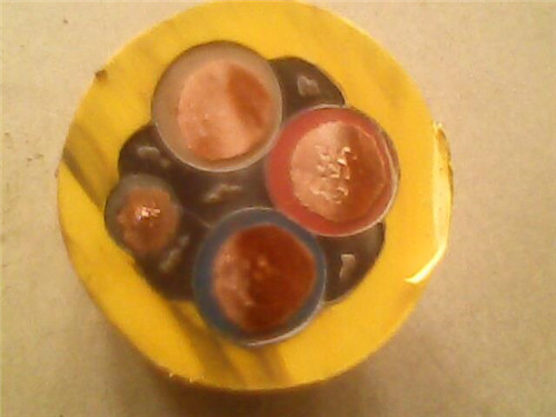 �������׵���չʾ